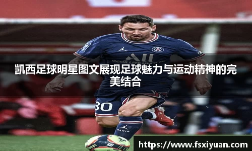 星空.综合体育官网