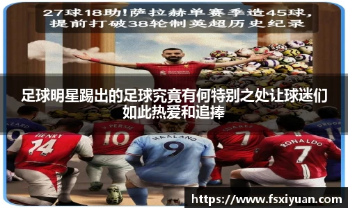 星空.综合体育官网