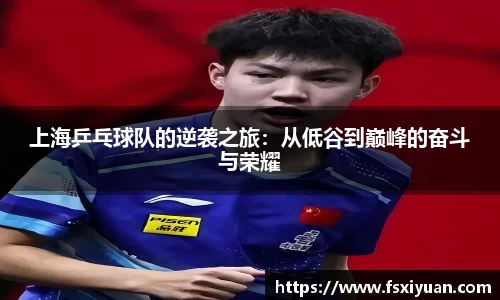 星空综合(中国)官方网站